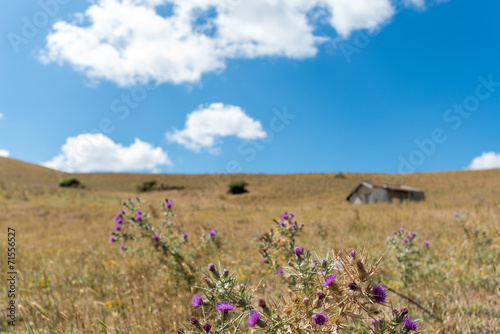 roseto valfortore photo