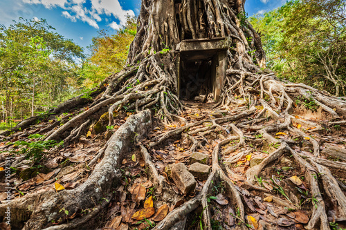 Sambor Prei Kuk temple ruins, Cambodia photo