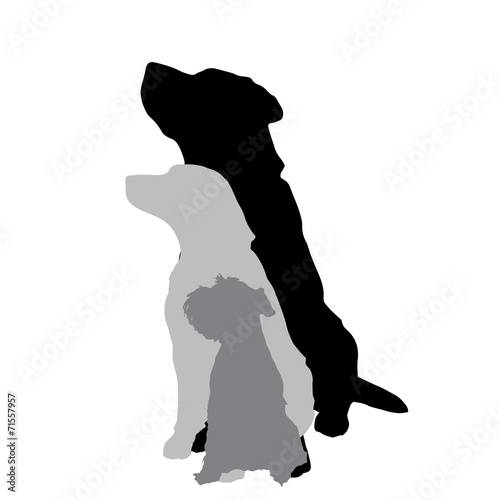 Vector silhouette of a dog.