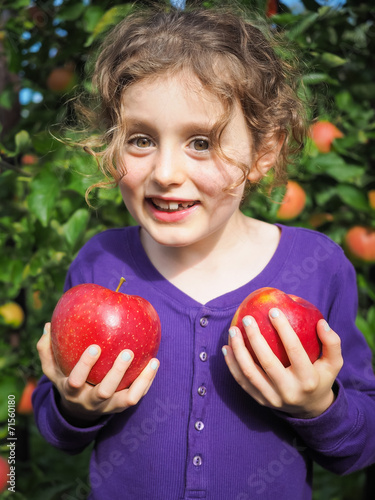 small smiling girl holding ripe apples in an orchard