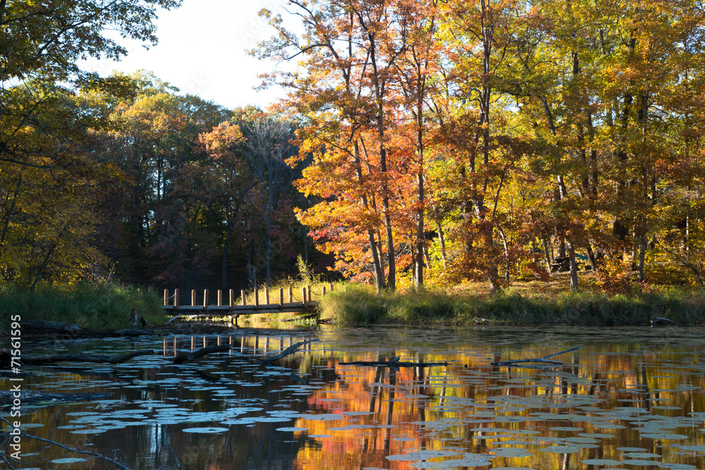 Fototapeta premium Little bridge over a duct on forest lake