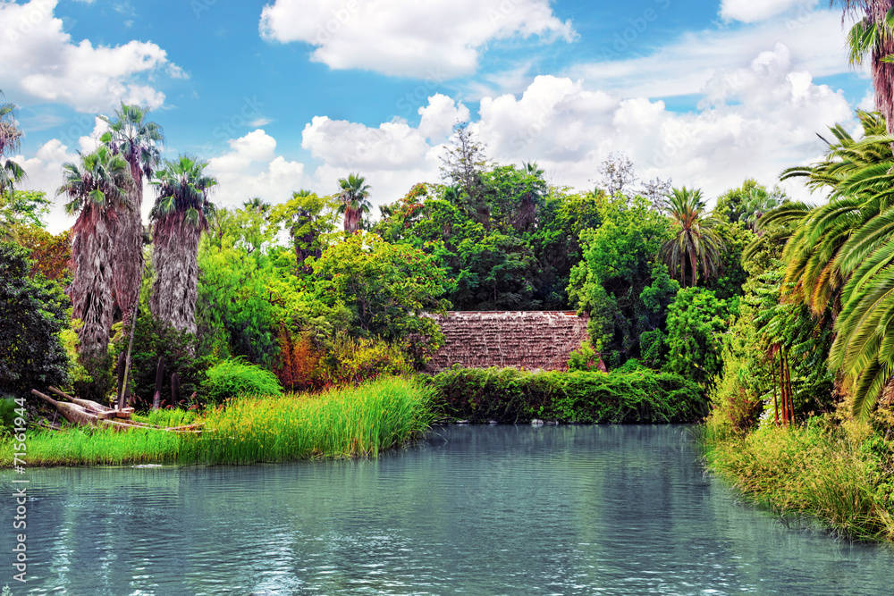 Beautiful landscape of humid tropical jungle. Beautiful landscape of humid tropical jungle.