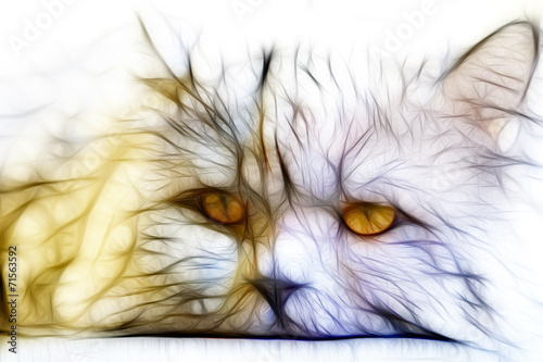 Fractal Cat Illustration