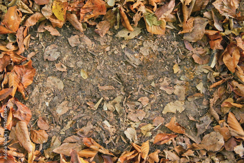 Autumn frame Autumn frame