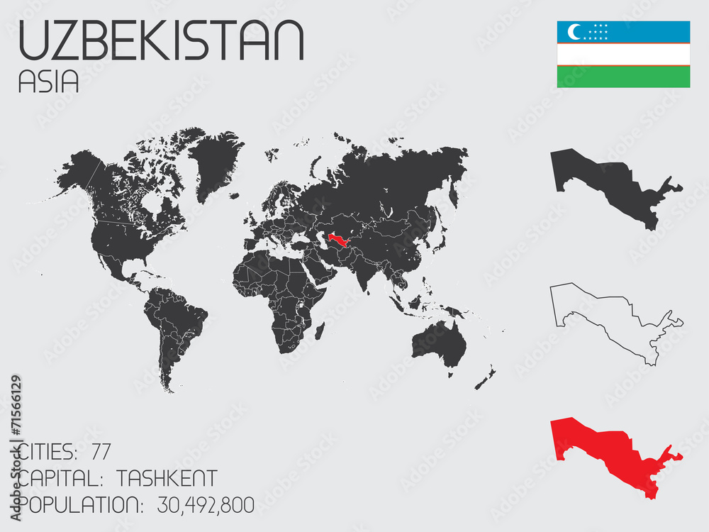Naklejka premium Set of Infographic Elements for the Country of Uzbekistan