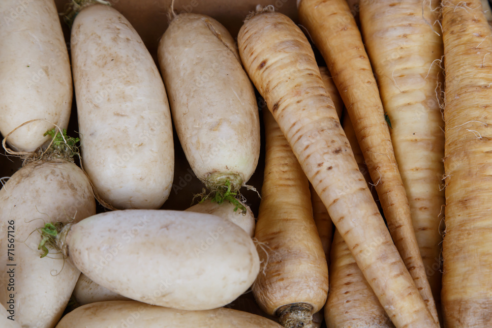 Turnip group from marketplace Turnip group from marketplace