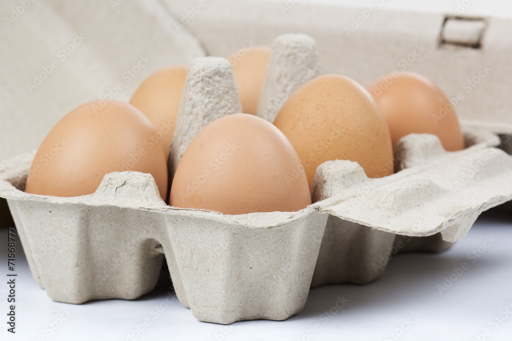 Paper Egg Tray Paper Egg Tray