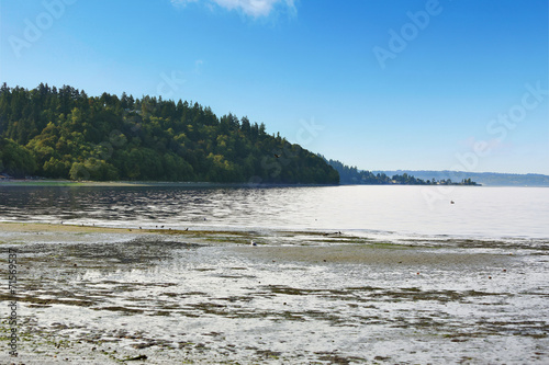 Private beach with Puget Sound view, Burien, WA photo