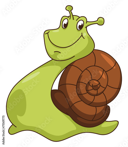 Snail Cartoon Illustration
