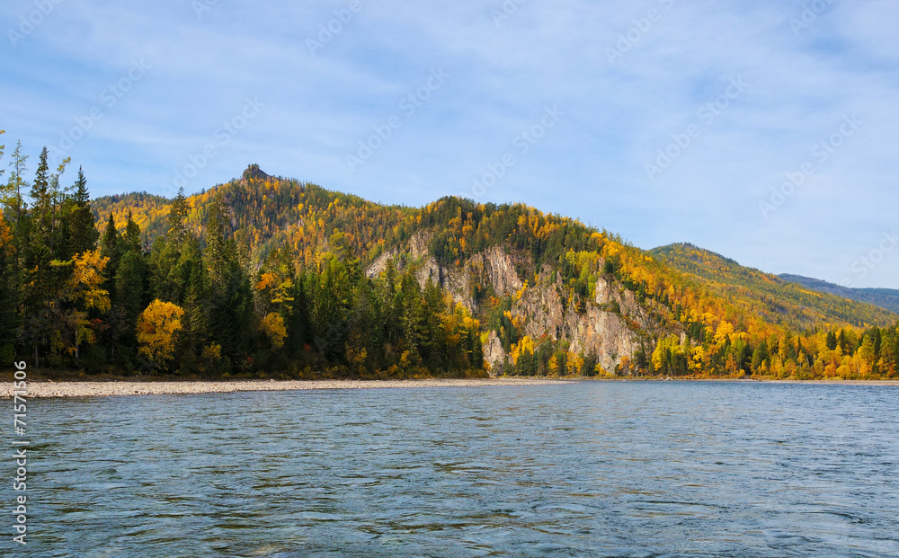 Siberian taiga fall