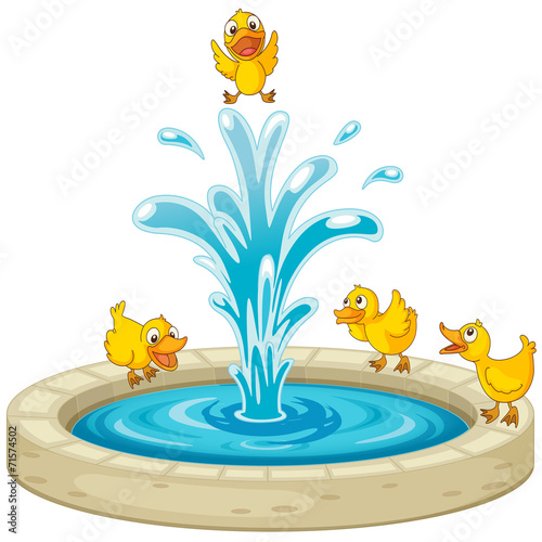 Ducks and fountain