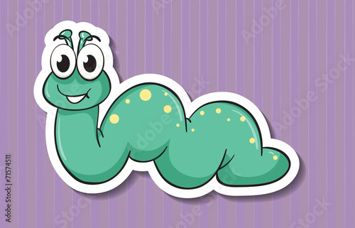 Worm