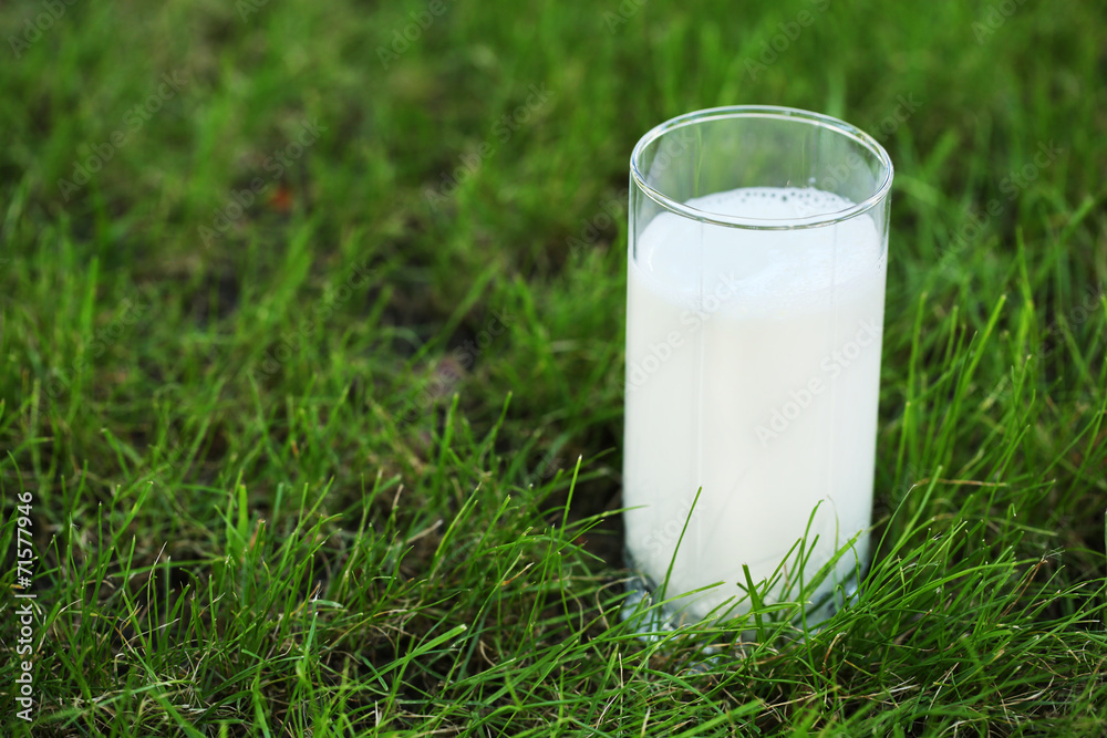 Milk in glass on grass close-up Milk in glass on grass close-up