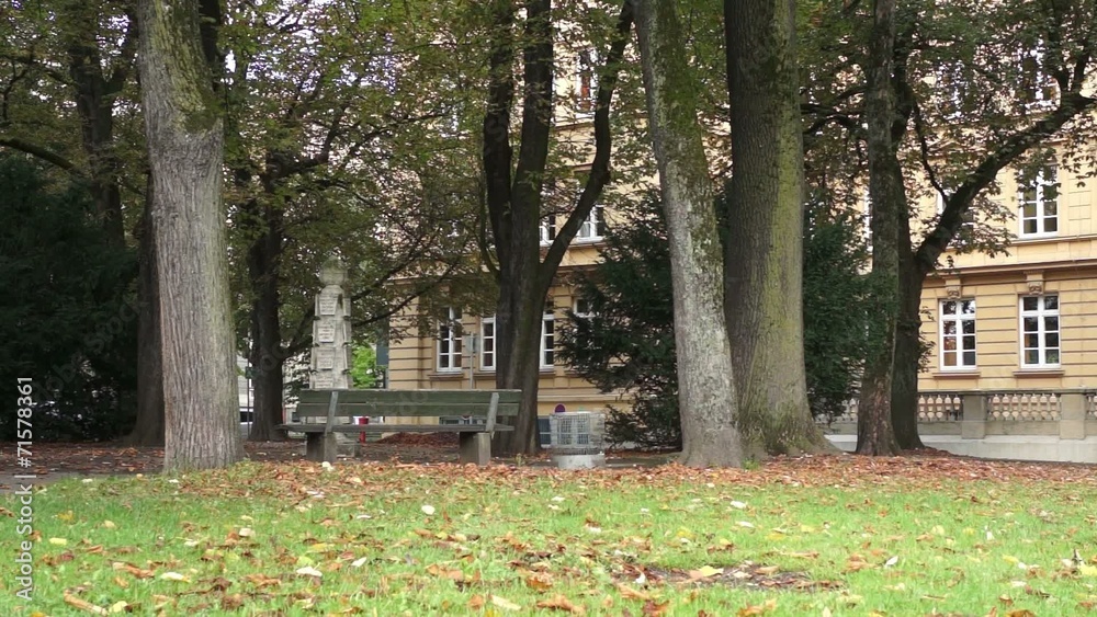 Stadtpark Stadtpark