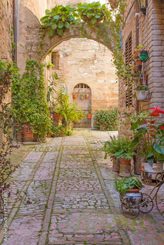 Street with stone arch decorated with plants (Spello)