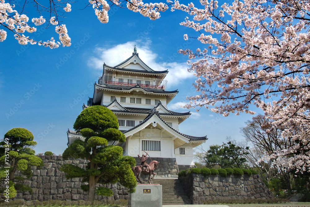 Fototapeta premium 千葉城と桜