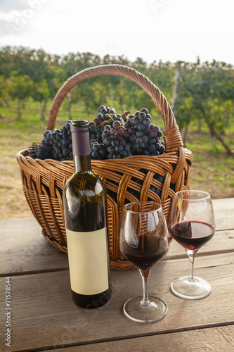 Принти на полотні Wine And Grapes In Vineyard