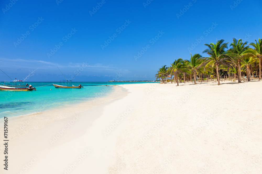 Stunning tropical beach with coconut palms and turquoise waters