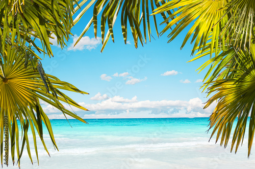 Fototapeta Naklejka Na Ścianę i Meble -  Stunning Caribbean beach with transparent water framed by palms