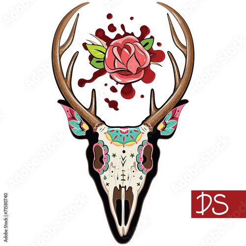 Deer Skull
