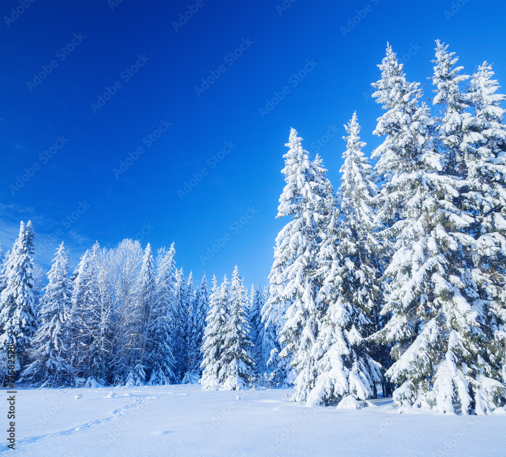 Snow field Snow field
