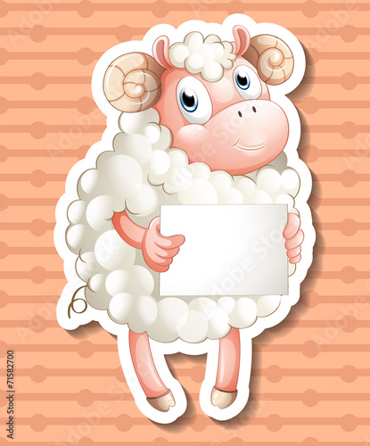 sheep