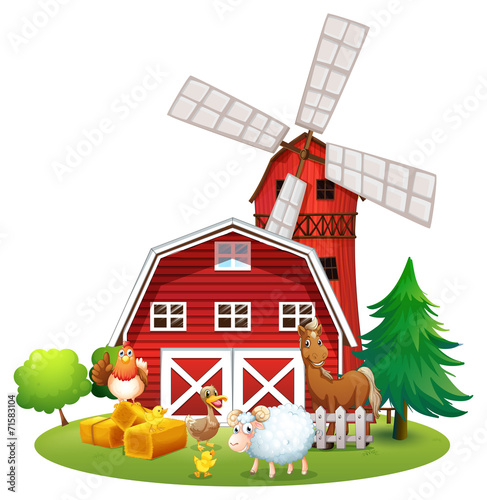 Animals and farm