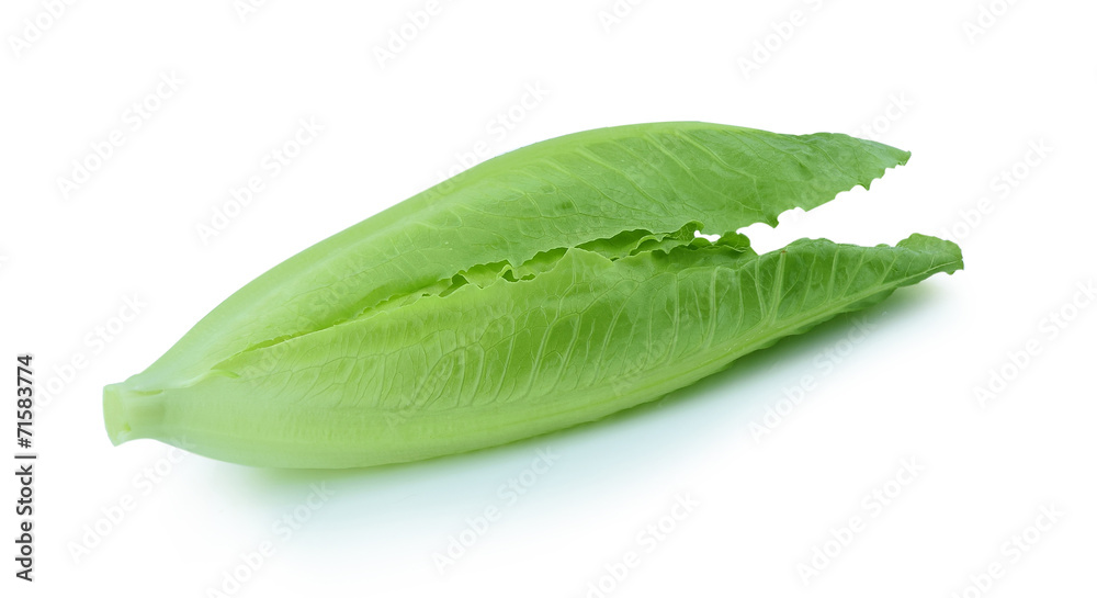 Fototapeta premium Cos Lettuce on White Background