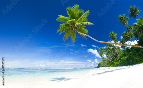Tropical Beach and Blue Sky Destination