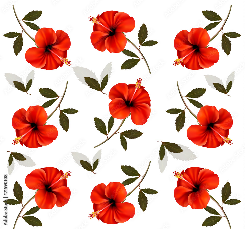 Pattern of beautiful red flowers. Vector. Pattern of beautiful red flowers. Vector.