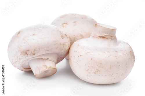 Fresh champignon isolated on white background