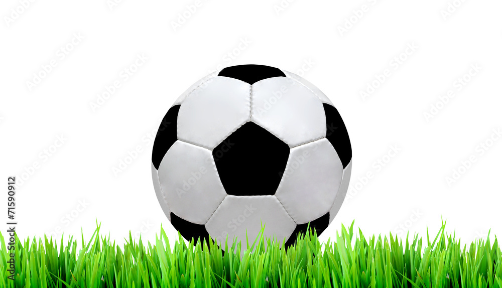 Obraz premium soccer field and soccer ball on white