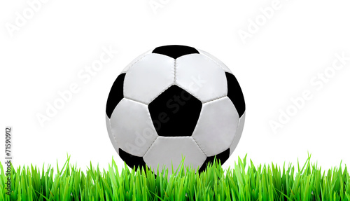 soccer field and soccer ball on white