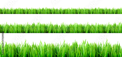 fresh grass for background