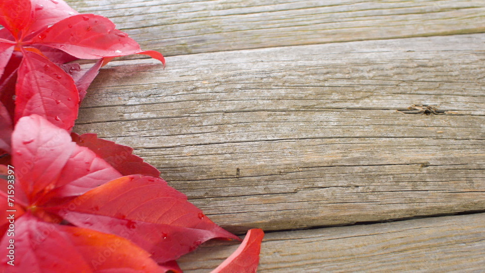 Autumn leaves on vintage wooden background