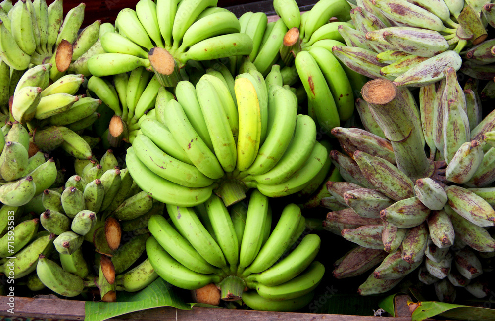 Banana Banana