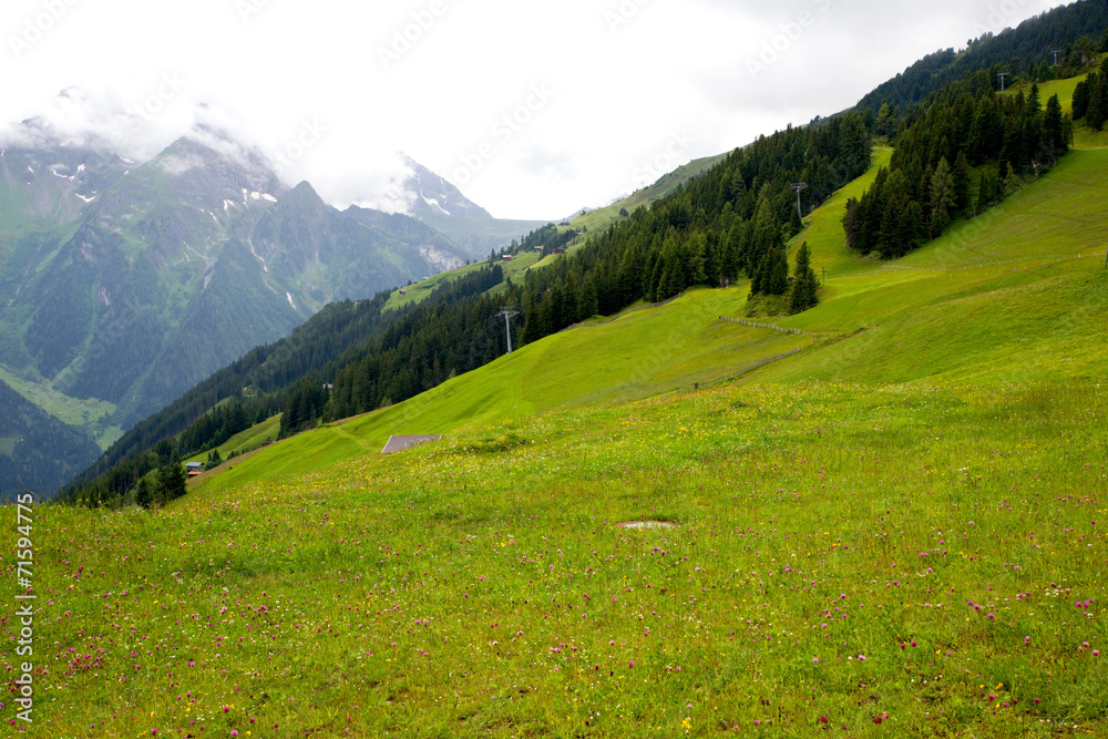 Naklejka premium Zillertal - Alpen