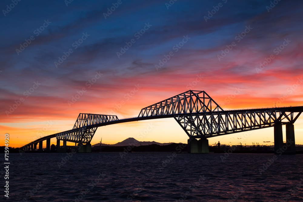 Obraz premium 東京ゲートブリッジ