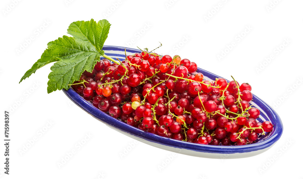 Red currant Red currant