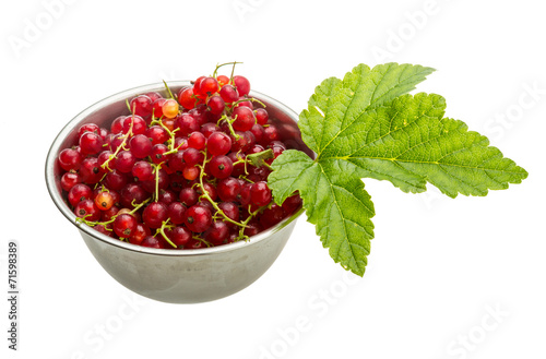 Red currant