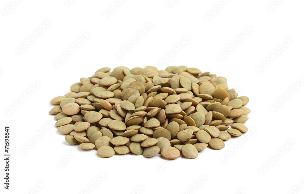 Lentil. Lentil.