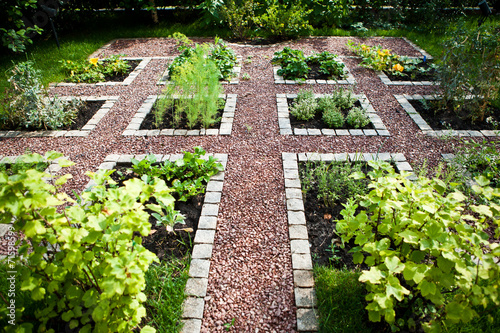 Сад / Garden