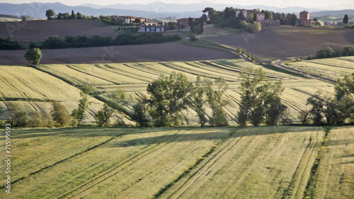 Typical summer landscape in Tuscany early in the morning, pannin photo