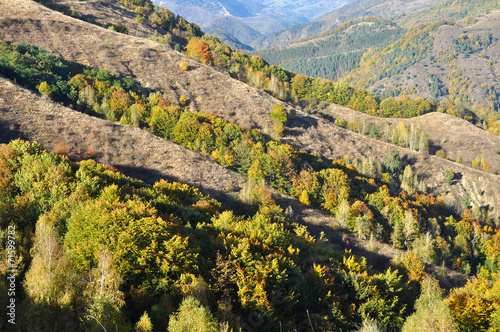 Colorful autumn forest mountain landscape