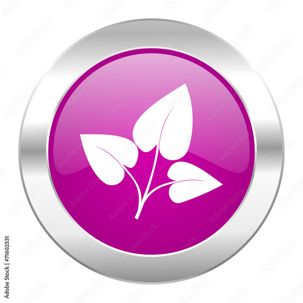 leaf violet circle chrome web icon isolated leaf violet circle chrome web icon isolated