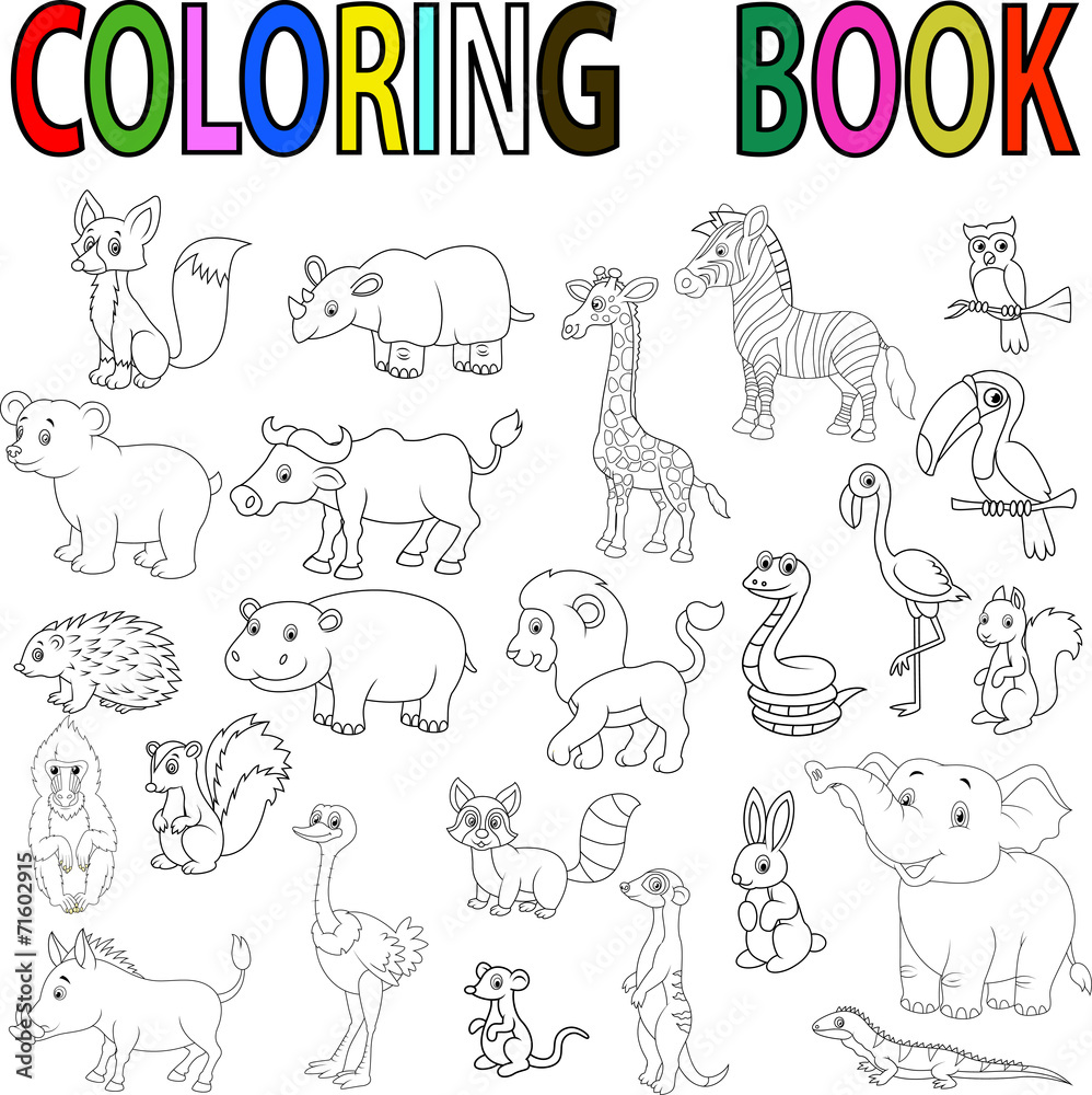 Wild animal coloring book