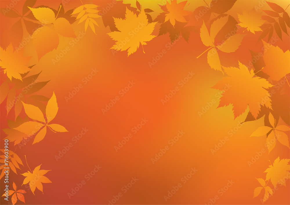 Autumn background Autumn background