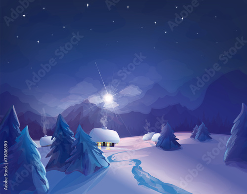 Vector night  winter scene.