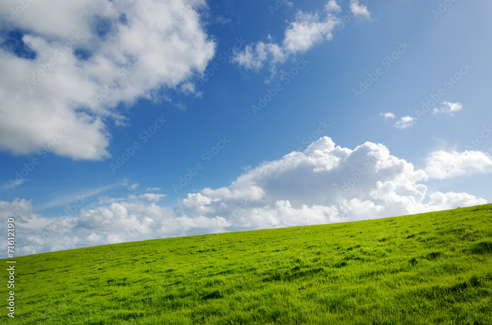Grüne Wiese mit Wolkenhimmel Landschaft Umwelt sauber