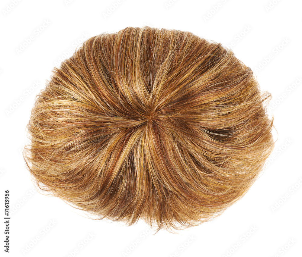 Hair wig isolated